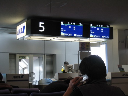 新千歳空港からの帰郷